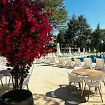 Queen Nelly Park Отель