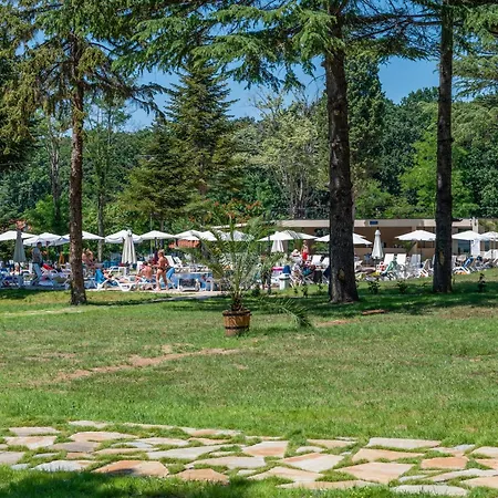 Отель Queen Nelly Park Китен