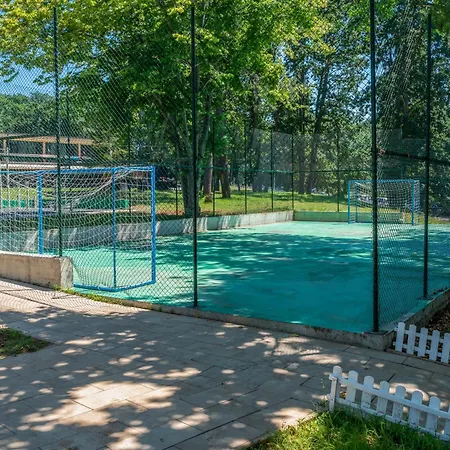 Queen Nelly Park ホテル キテン