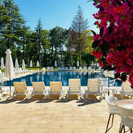 Queen Nelly Park 4*