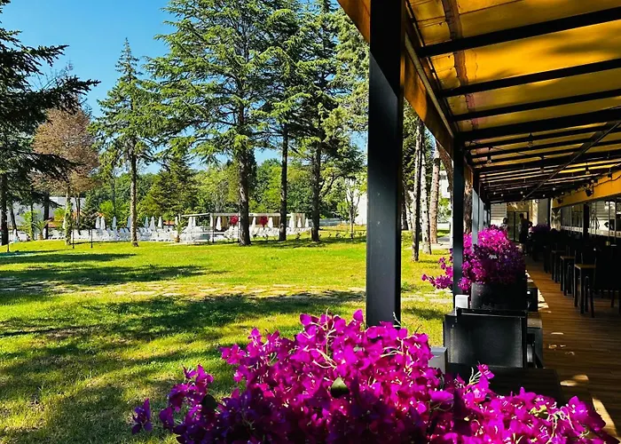 куин нели парк Хотел